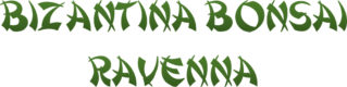 Bizantina Bonsai Club Ravenna