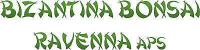 Bizantina Bonsai Club Ravenna aps